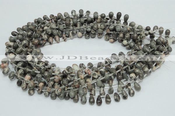 CZJ15 16 inches 6*8mm teardrop zebra jasper gemstone beads wholesale