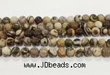 CZJ424 15.5 inches 12mm round Australian zebra jasper beads wholesale