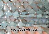 FGBS12 15 inches 12mm faceted Four leaf clover blue chalcedony beads