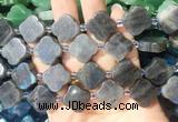 FGBS275 15 inches 18mm four leaf clover labradorite beads wholesale