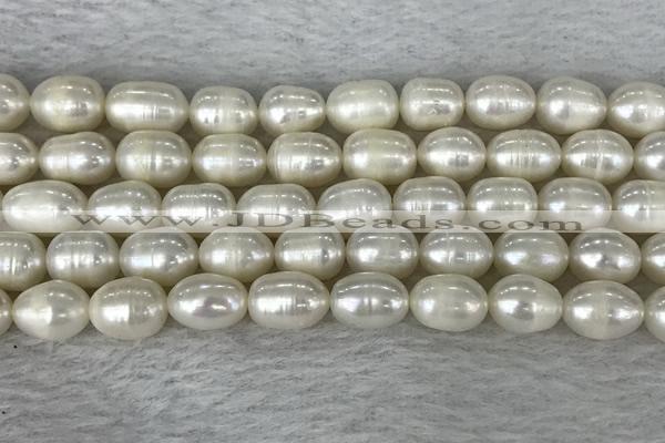 FWP201 15 inches 8mm - 9mm rice white freshwater pearl strands