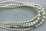 FWP212 15 inches 4mm - 9mm rice white freshwater pearl strands