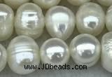 FWP55 15 inches 6mm - 7mm potato white freshwater pearl strands