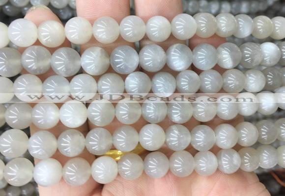 MSBS02 15 inches 8mm round moonstone gemstone beads wholesale