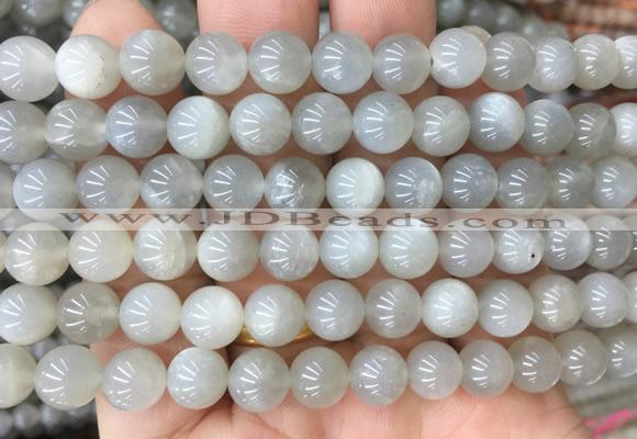 MSBS07 15 inches 8mm round moonstone gemstone beads wholesale