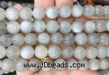 MSBS08 15 inches 10mm round moonstone gemstone beads wholesale