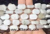 NGBS182 15 inches 10*14mm - 12*16mm freeform moonstone beads