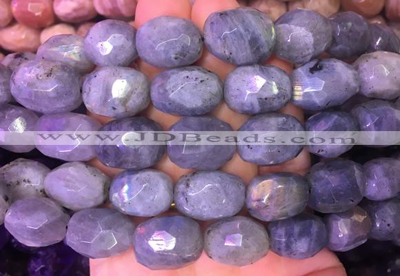 NGBS35 15 inches 12*16 - 13*18mm faceted nuggets labradorite beads