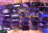 TBBS76 15 inches 8*12mm faceted tube dogtooth amethyst gemstone beads