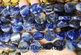 TWBS71 15 inches 16mm twist coin sodalite beads wholesale